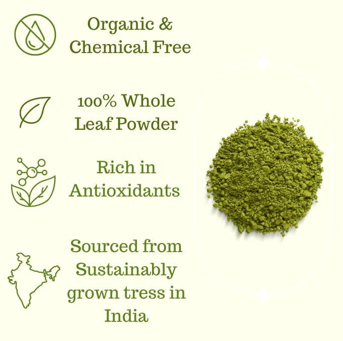 ADI ADI Organic Moringa Powder 8oz, Pure Moringa Superfood for Immune Support, Moringa Tea, Made from Organic Moringa Leaves, USDA Certified