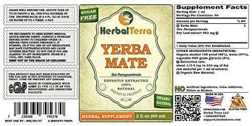 Herbal Terra LLC Yerba Mate (Ilex Paraguariensis) Tincture, Organic Dried Leaves Liquid Extract (Brand Name: HerbalTerra, Proudly Made in USA) 2x2 fl.oz (2x60 ml)