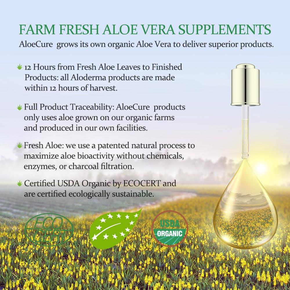 AloeCure AloeCure USDA Organic Aloe Vera Juice Grape Flavor, Made Within 12 Hours of Harvest - Pure Aloe Vera Digestive & Immune Health Supplement, Helps Maintain Balanced Stomach Acidity, 16.7oz x 4 Btls
