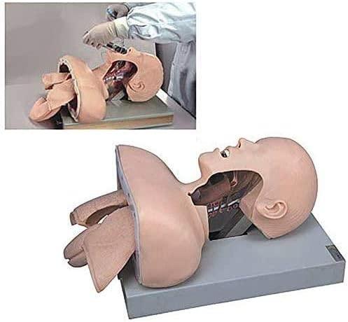 CHROX CHROX PVC Adult Intubation Manikin Teaching Model, Airway Management Trainer Tracheal Intubation Training Simulator Model, Science Lab Education