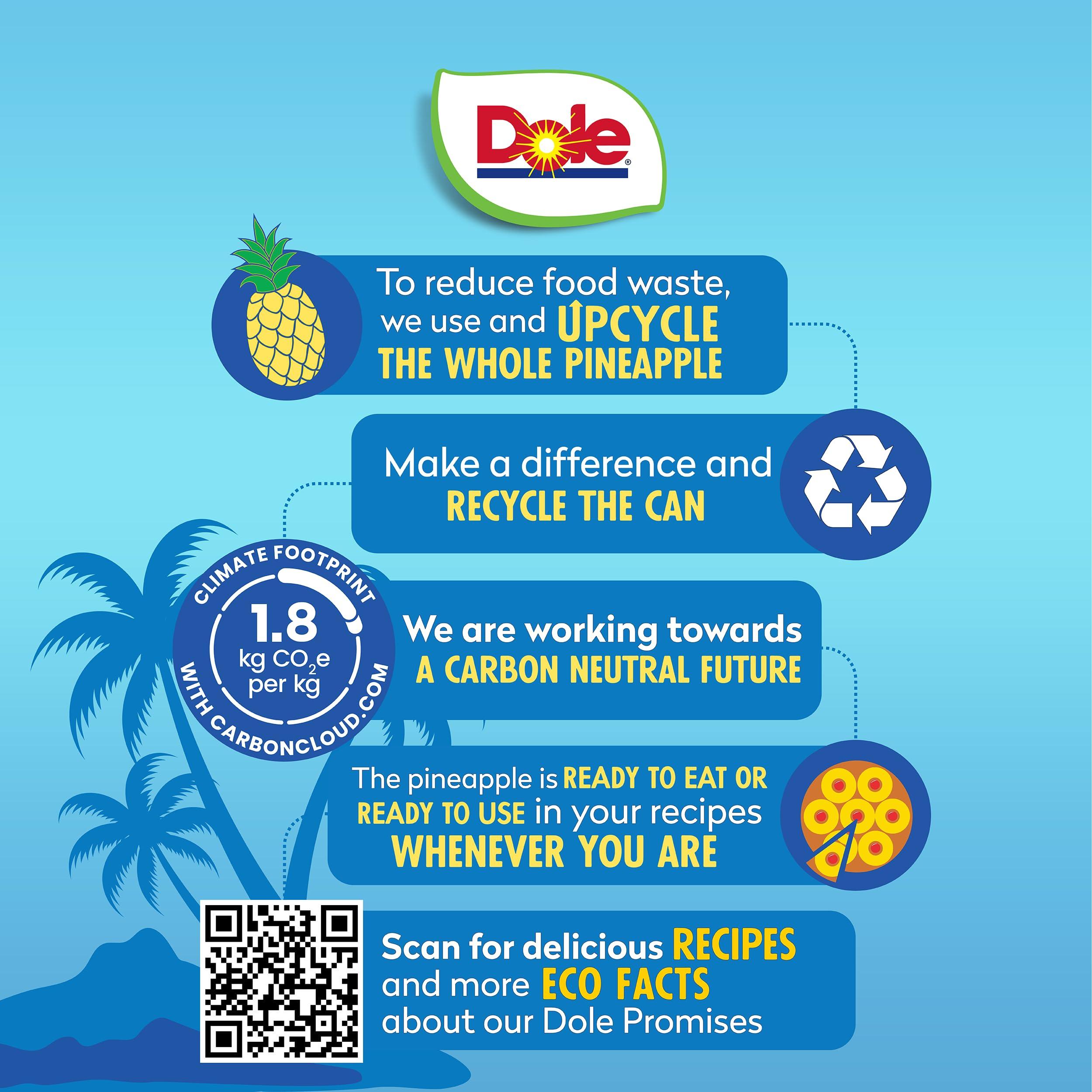 Dole Dole Pineapple Slices in 100% Pineapple Juice with No Sugar Added - Dole Canned Fruit - 20 oz Cans - 12 Pack