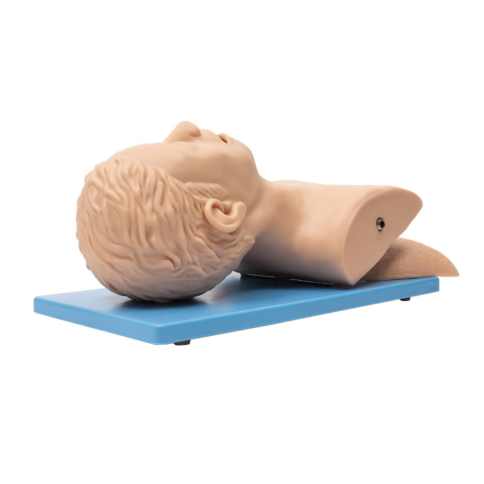 JINGEDD JINGEDD Intubation Trainer Manikin Teaching Model,Adult Intubation Manikin Kit Airway Management Intubation Tracheal Manikin Oral Nasal Intubation Training Airway Trainer Simulator Model