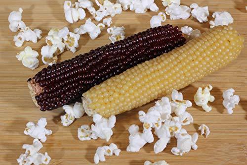 Amish Country Popcorn Amish Country Popcorn | Old Fashioned Microwave Popcorn | Non-GMO, Gluten Free, Microwaveable and Kosher (White & Red Corn on the Cob, 2 Pack)