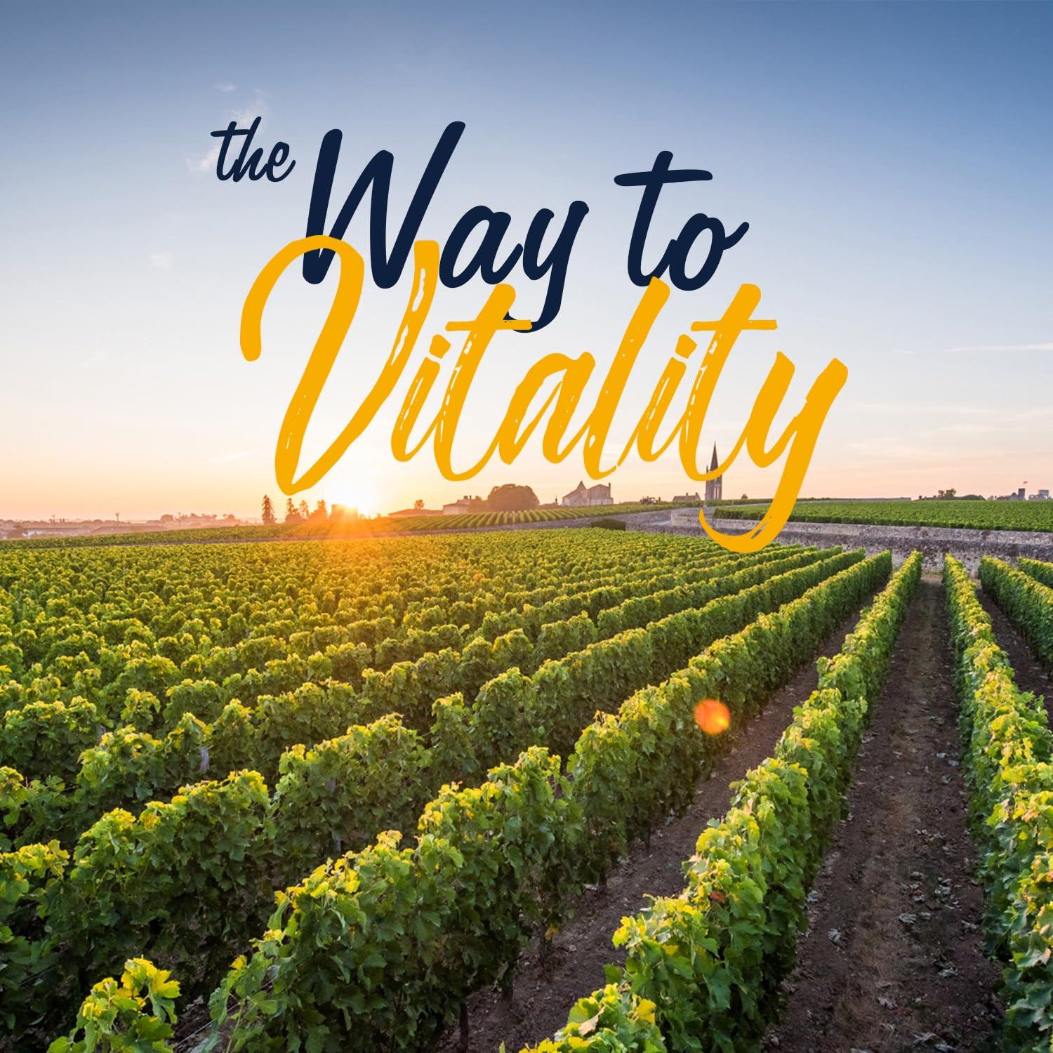 VITALITOWN Vitalitown Probiotics 200 Billion CFUs 36 Strains | Shelf Stable, Acid & Bile Resistant | Intensive Digestive & Immune Support | Men & Women Probiotics | Vegan Non-GMO | 60 ct