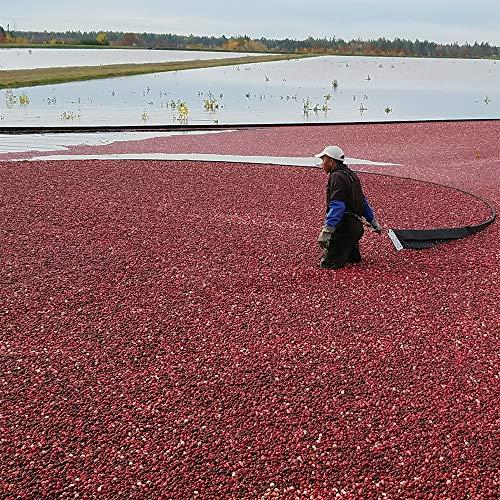 Organic by Mariani Mariani Organic Dried Cranberries, 30 oz