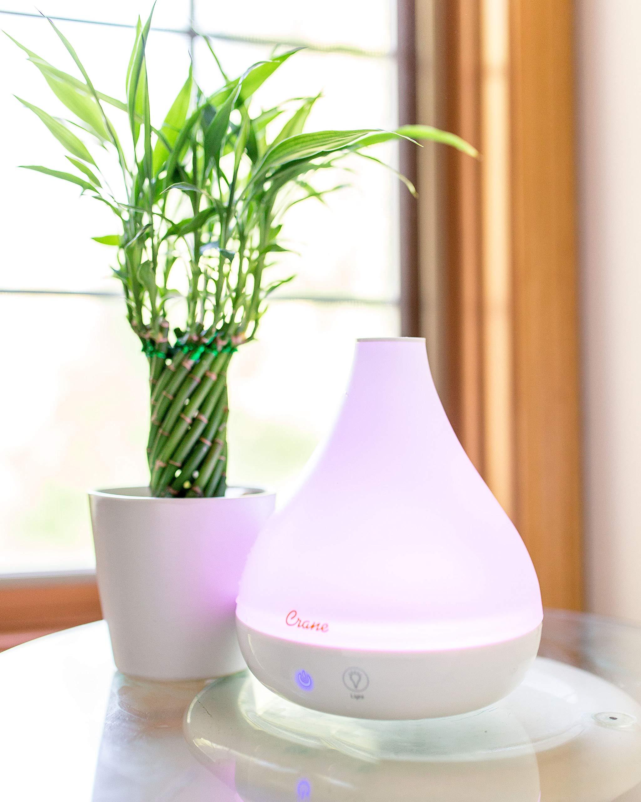 Crane Crane Personal Ultrasonic Cool Mist Humidifier and Aroma Therapy Diffuser, Optional Color Changing Nightlight Included, for Home, Hotels, and Office, 0.35 Gallon 1.5 Liter, White (Pack of 2)