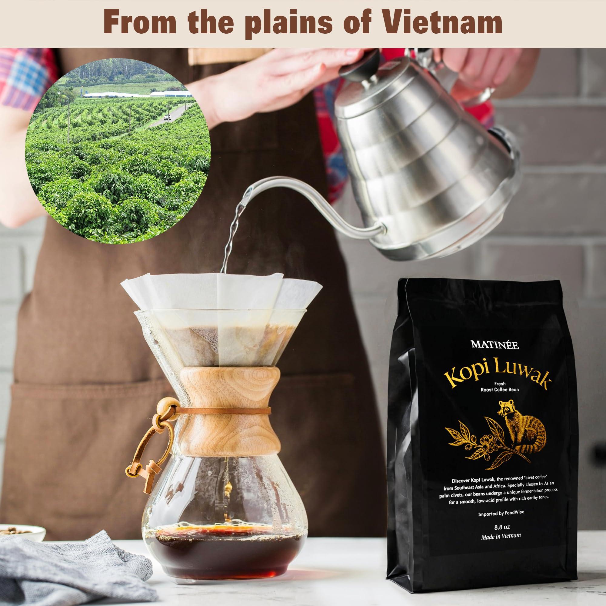 MATINE MATINE Wild Kopi Luwak Coffee Beans, Medium Roast, Whole Bean Coffee, Civet Coffee, Wild Kopi Luwak Coffee - Sustainably Sourced From Vietnam, 8.8oz / 250 Grams