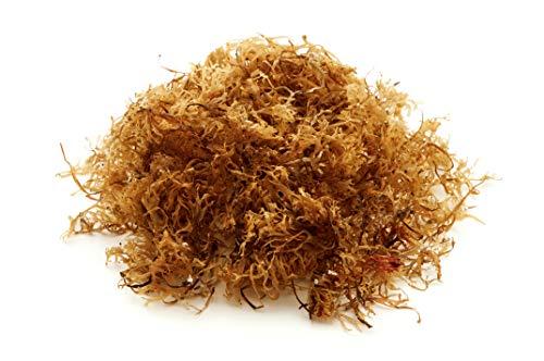 Semaj Dried Sea Moss - Premium 100% Natural - Fresh Irish Moss - 3oz - 4 Pack - by Semaj Products USA