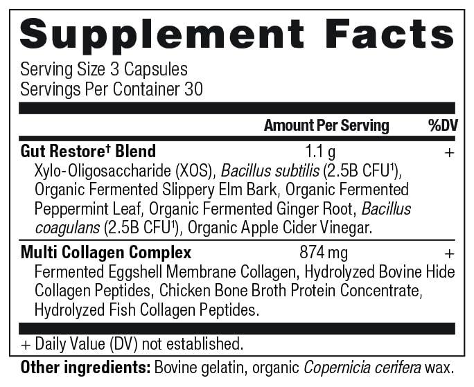 Ancient Nutrition Collagen Pills with Probiotics for Gut Health by Ancient Nutrition, Multi Collagen Capsules Gut Restore 90 Ct, Supports Gut, Joints, Hair & Nails, Gluten Free, Paleo and Keto Friendly