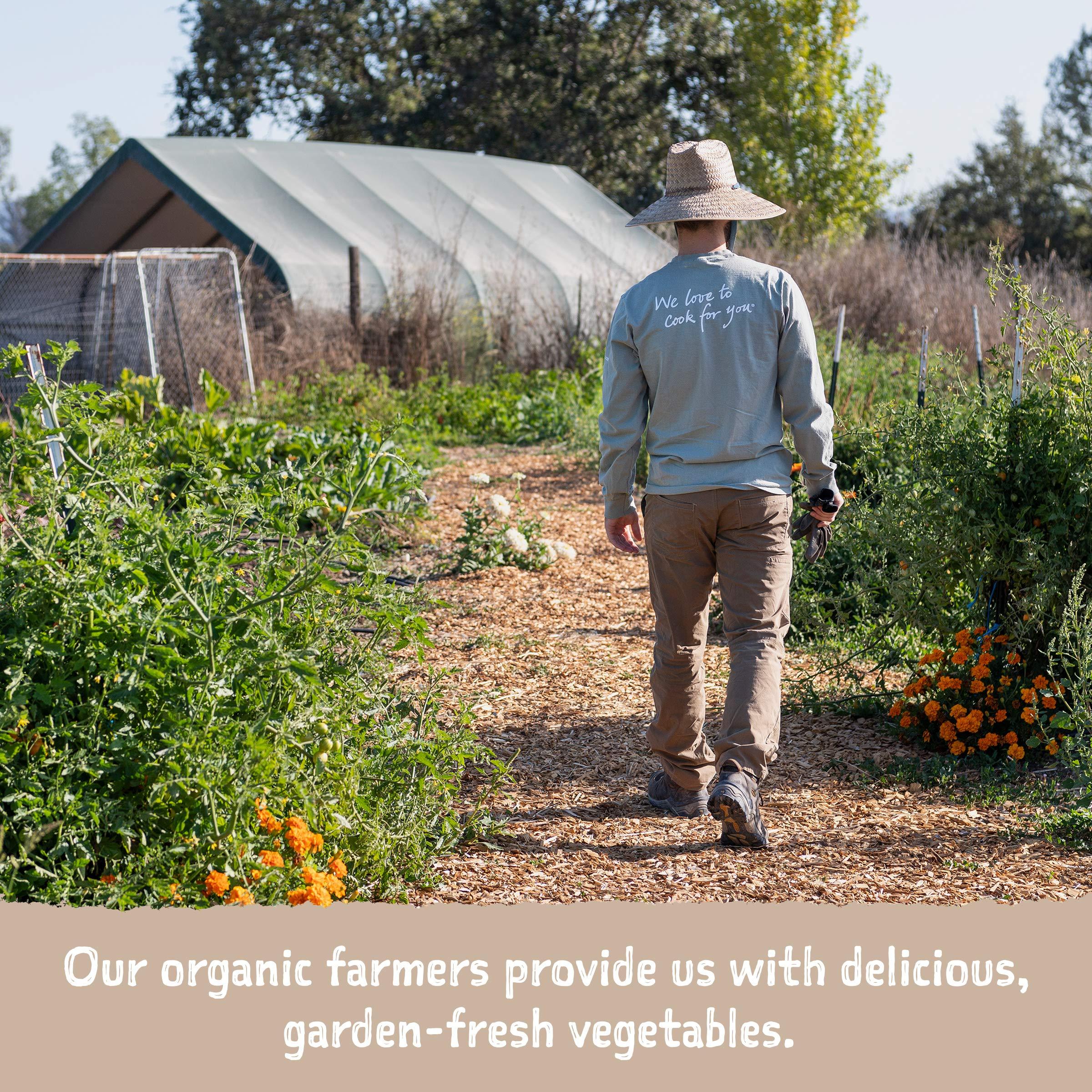 Amy's Amys Soup, Vegan Chunky Vegetable Soup, Gluten Free, Made with Organic Vegetables, Canned Soup, 12 Oz