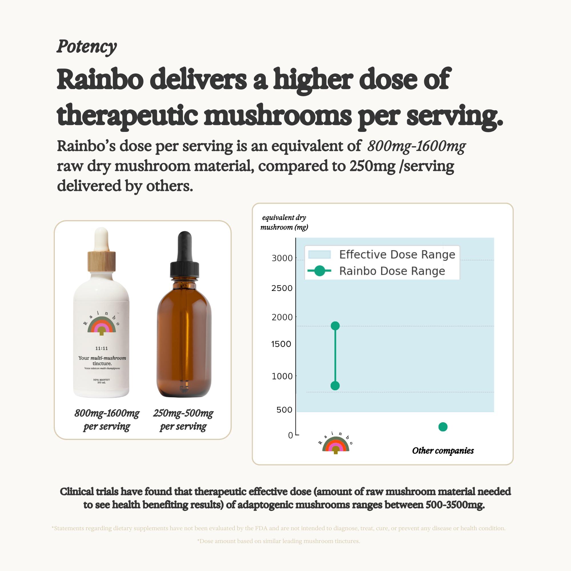 Rainbo Rainbo 11:11 Multi Mushroom Tincture, Dual Extract Mushroom Supplement for Comprehensive Immune Support, Brain Support, Liquid Lion's Mane & Turkey Tail, Vegan, Non GMO, 3.4 fl oz