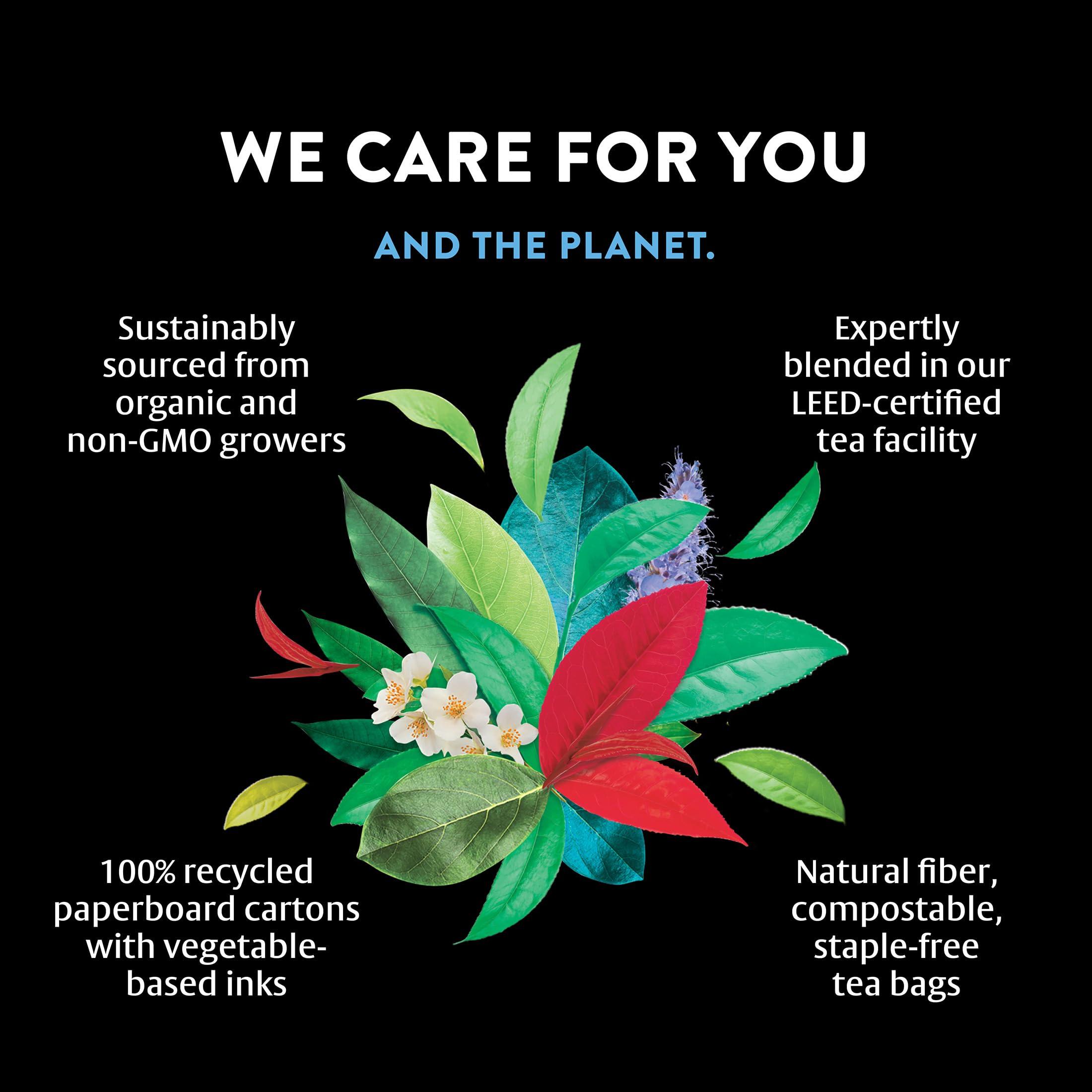 Choice Organics Choice Organics - Organic Picnic Peach Tea (3 Pack) - Rainforest Alliance - Contains Caffeine - 48 Organic Black Tea Bags