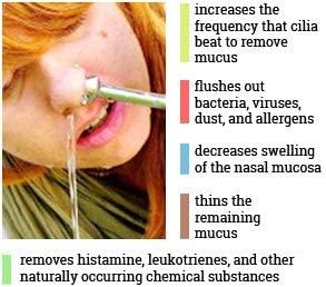 2activelife 2activelife-304 Grade Stainless Steel Ayurvedic Jal Neti Pot for Sinus Congestion and Nasal Cleansing Non-Corrosive Unbreakable Hygienic Smooth Nose Tip Snugly Fits