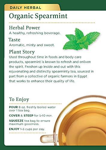 Traditional Medicinals Traditional Medicinals Organic Spearmint Herbal Tea, Healthy & Refreshing, (Pack of 1) - 16 Tea Bags