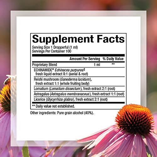 Natural Factors Natural Factors, Anti-V Liquid Formula, Echinacea Supplement for Immune and Wellness Support, Organic, Non-GMO, 3.4 oz (100 servings)
