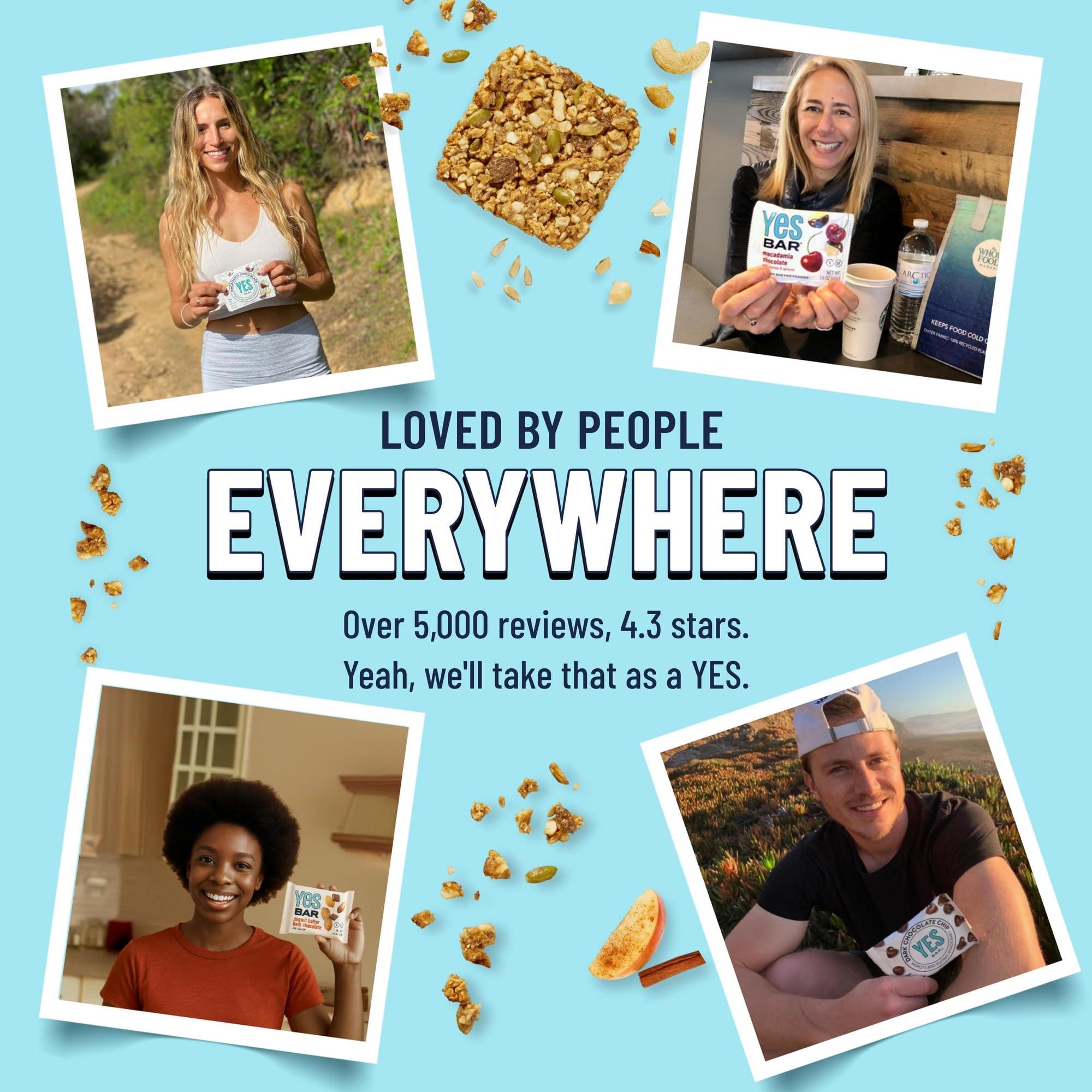 The YES Bar The YES Bar Apple Cinnamon Crisp – Plant Based Protein, Decadent Snack Bar – Vegan, Paleo, Gluten Free, Dairy Free, Low Sugar, Healthy Snack, Breakfast, Low Carb, Keto Friendly (Pack of 6)