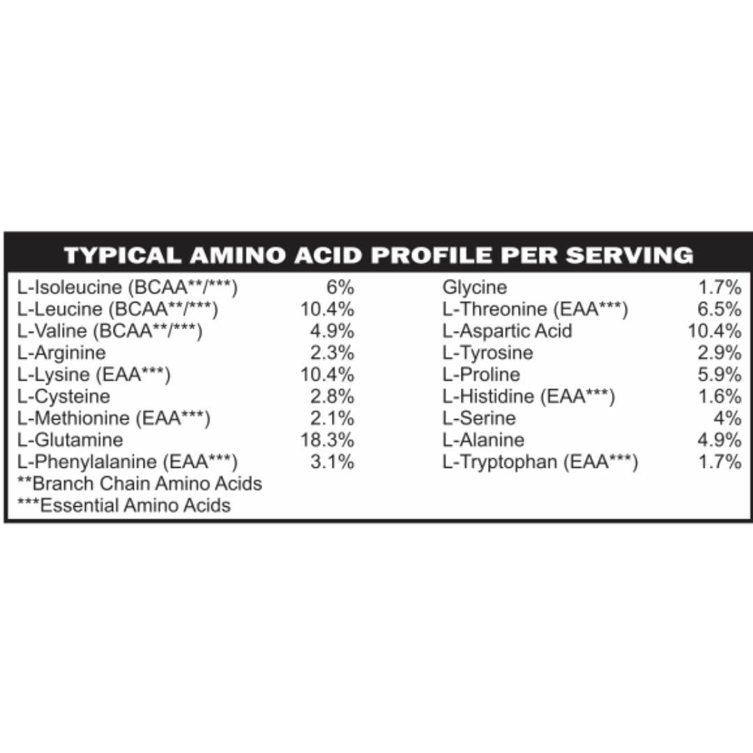 Casa de Sante Low FODMAP Elemental Diet Protein Powder IBS & SIBO GLP1 Keto Paleo|ProHydrolase Digestive Enzymes|Gluten Soy Sugar & Grain Free Low Carb Whey Protein Isolate (WPI) Gut Friendly All Natural Cocoa