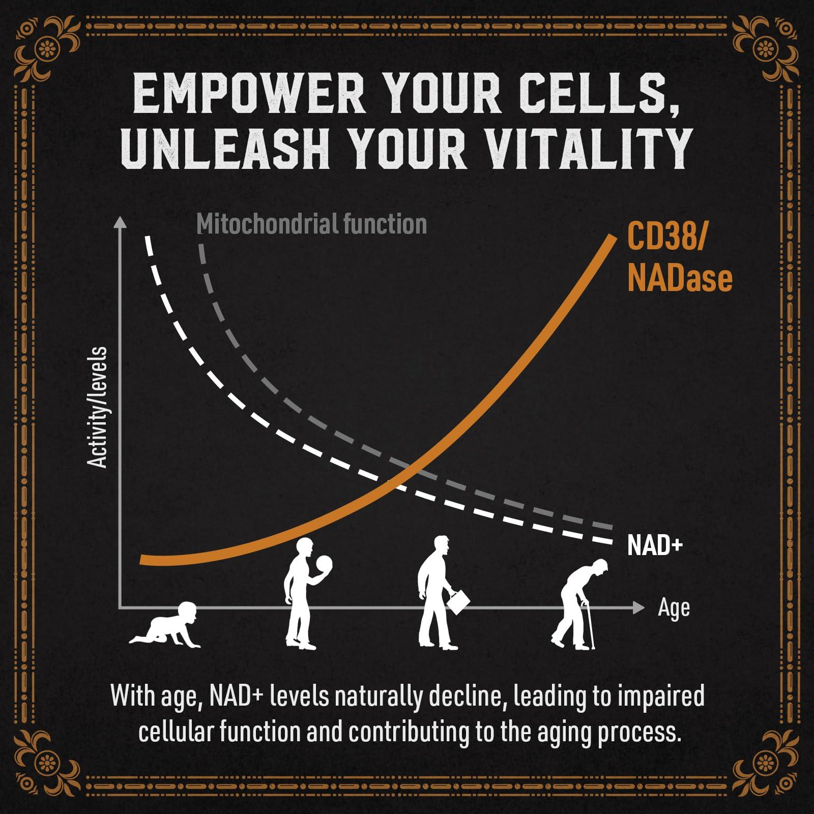 AGLVIA 1800 MG Liposomal NAD Supplement, NAD+ Supplement Similar to Nicotinamide Riboside, 98% Pure NAD Plus Supplement for Energy Booster & Cellular Repair for Men & Women, Non-GMO, 60 Softgels