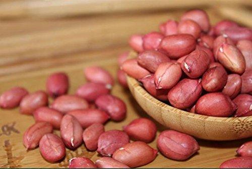 helen ou @ shanliwa Helen Ou @ Shaanxi Specialty: Raw Red Shelled Peanut Kernel 500g/17.64oz/1.1lb