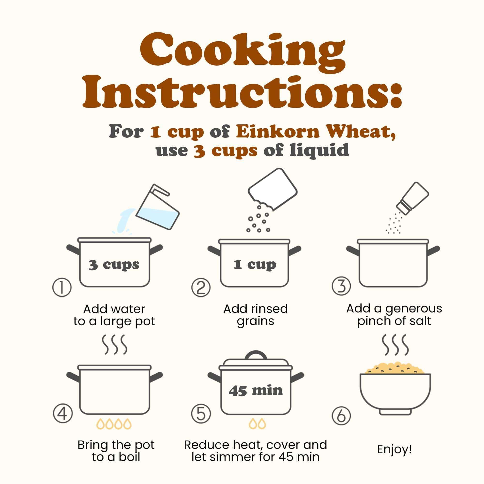 Food to Live Food to Live - Organic Einkorn Wheat Berries, 12 Ounces Non-GMO, Good Source of Protein, Fiber, and Vitamins. Low-glycemic Index. Kosher