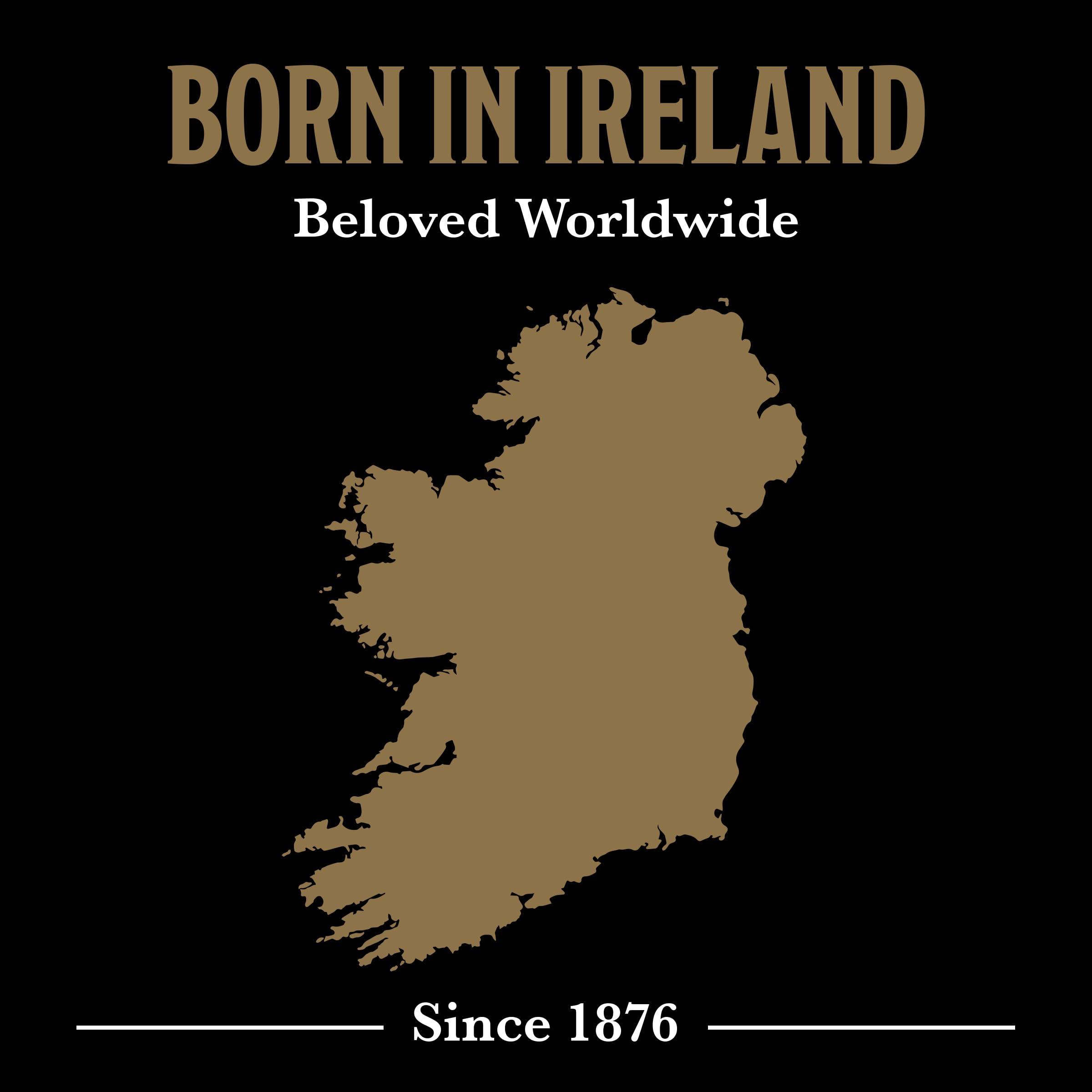 McCann\'s Irish Oatmeal McCann\'s Irish Oatmeal, Traditional Steel Cut Oats, 28 Ounce Bag