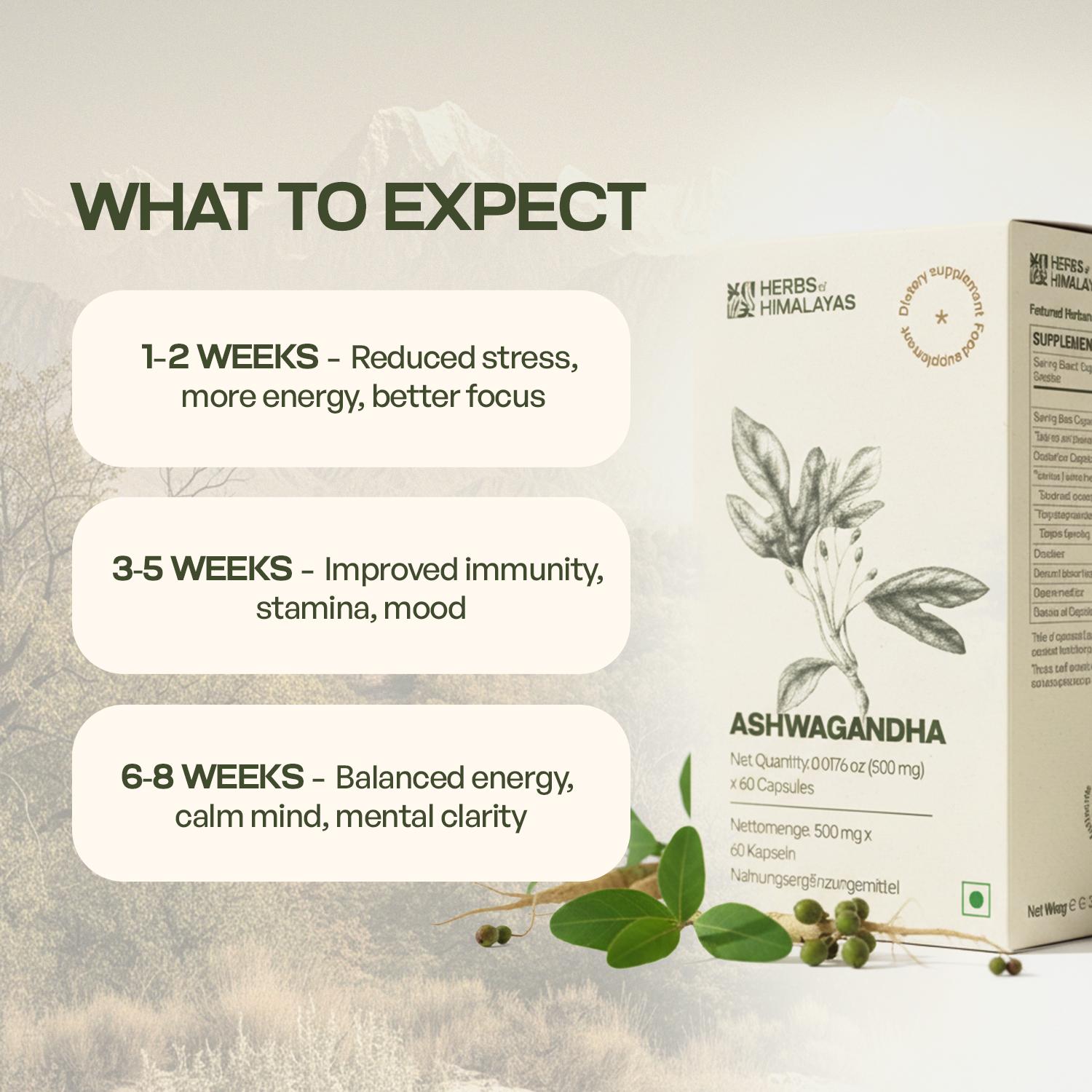 Herbs of Himalayas Herbs of Himalayas Ashwagandha Capsules – Natural Energy (60 Capsules) - Pack of 2