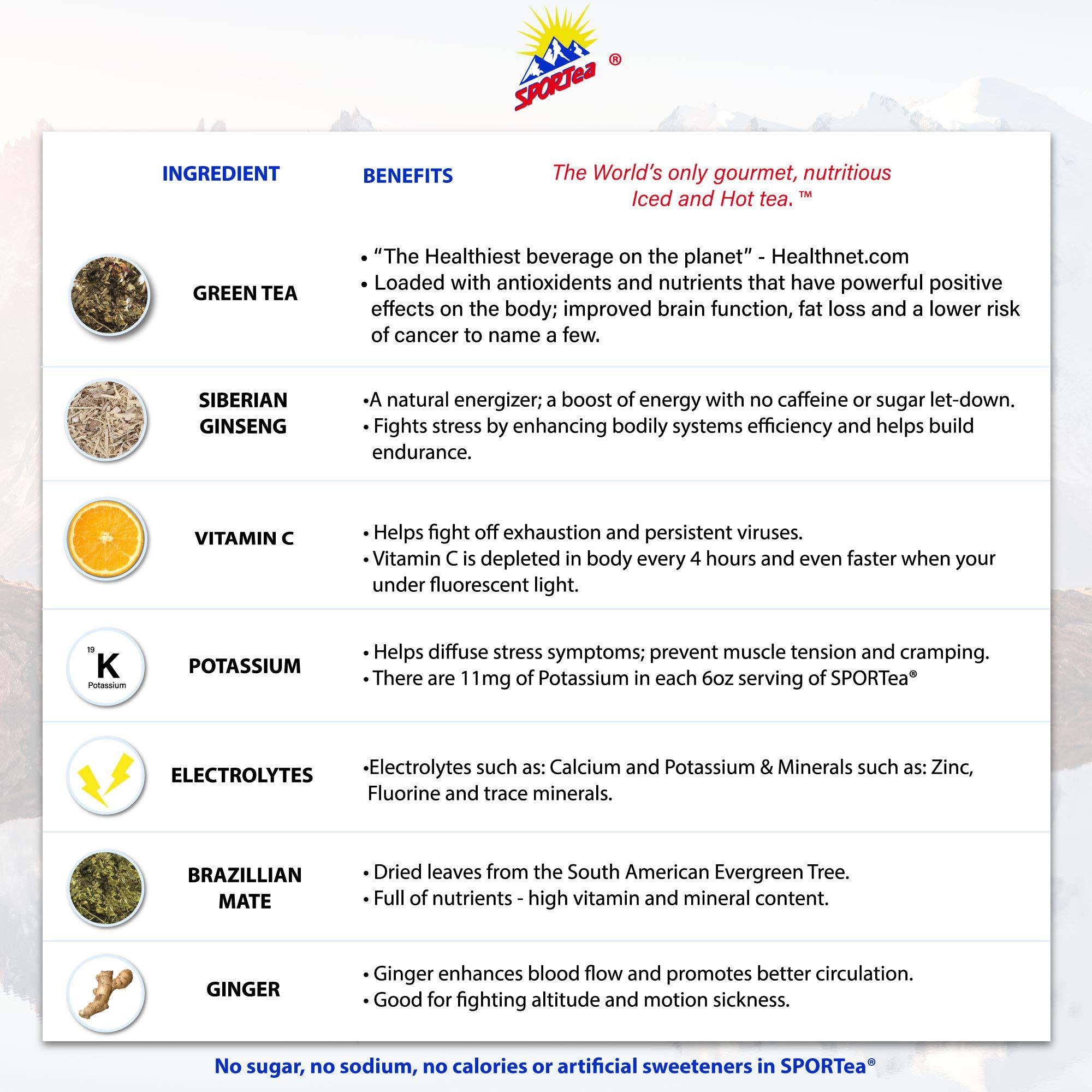 SPORTEA SPORTea Iced | Decaf Energy Drink with Green & Black Tea, Vitamins, Minerals, Electrolytes, Yerba Mate, Siberian Ginseng | 7 Cold Brew Tea Bags | Healthy, Easy | 2 Pack