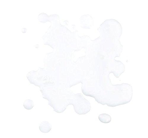 Roland Foods Roland Coconut Milk, Organic, 14 Ounce (Pack of 24)