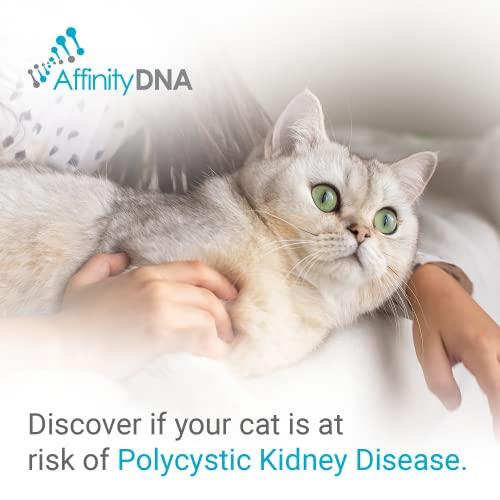 AffinityDNA AffinityDNA PKD DNA Test for Cats | Home Sample Collection Kit for 1 Feline | Polycystic Kidney Disease Testing | | Just Swab & Send a DNA Sample | Get Your Report in Just 12 Working Days