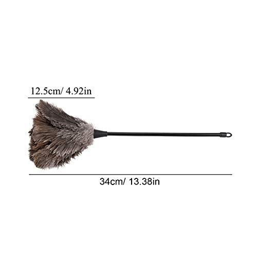 QiaNgshuAikj 34cm Premium Quality Genuine Ostrich Feather Duster – Attracts Dust Particles - Thick Soft Feathers - Durable Ergonomic Wooden Handle – Easy Efficient Dusting