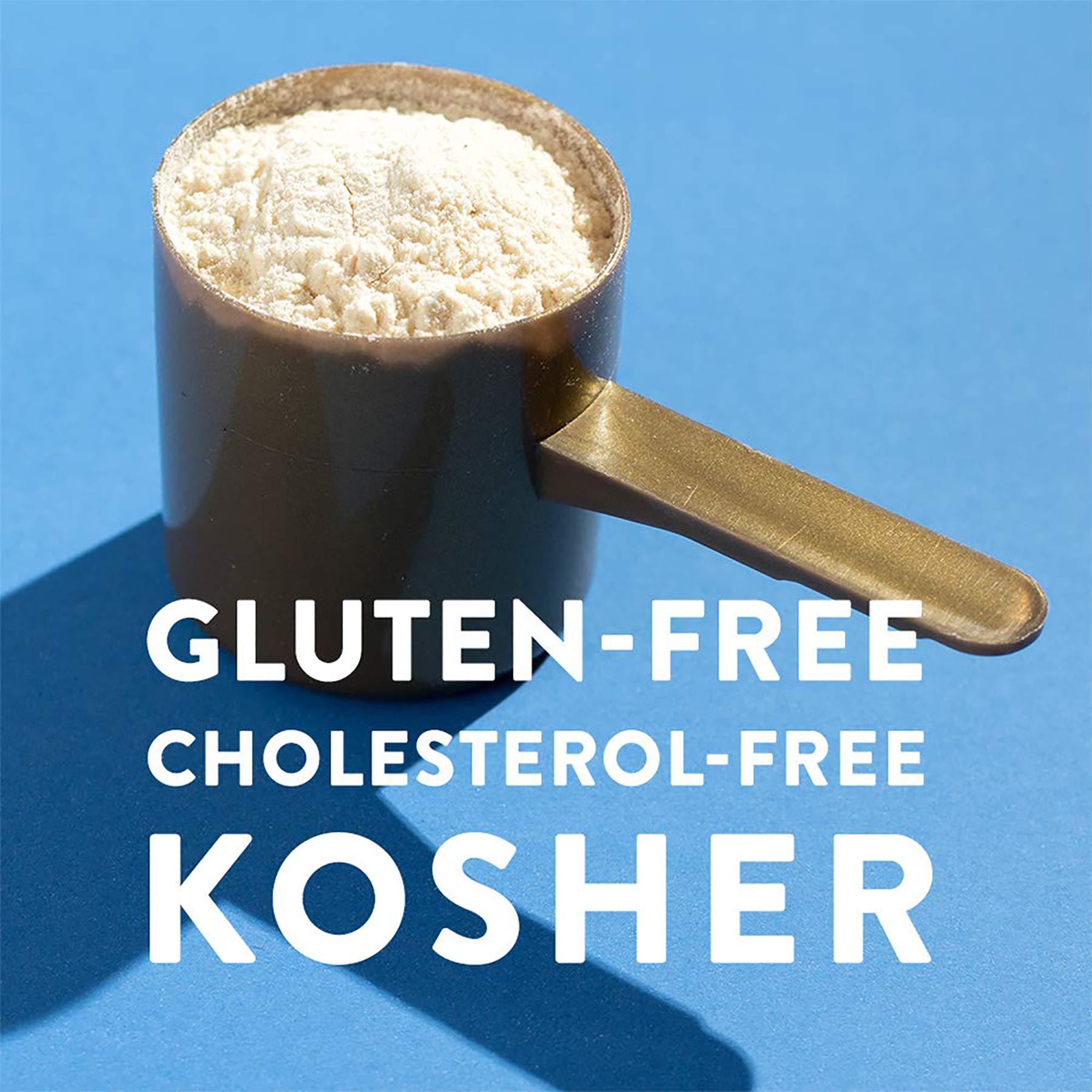 Beneprotein Beneprotein (8 Ounce (Pack of 3)