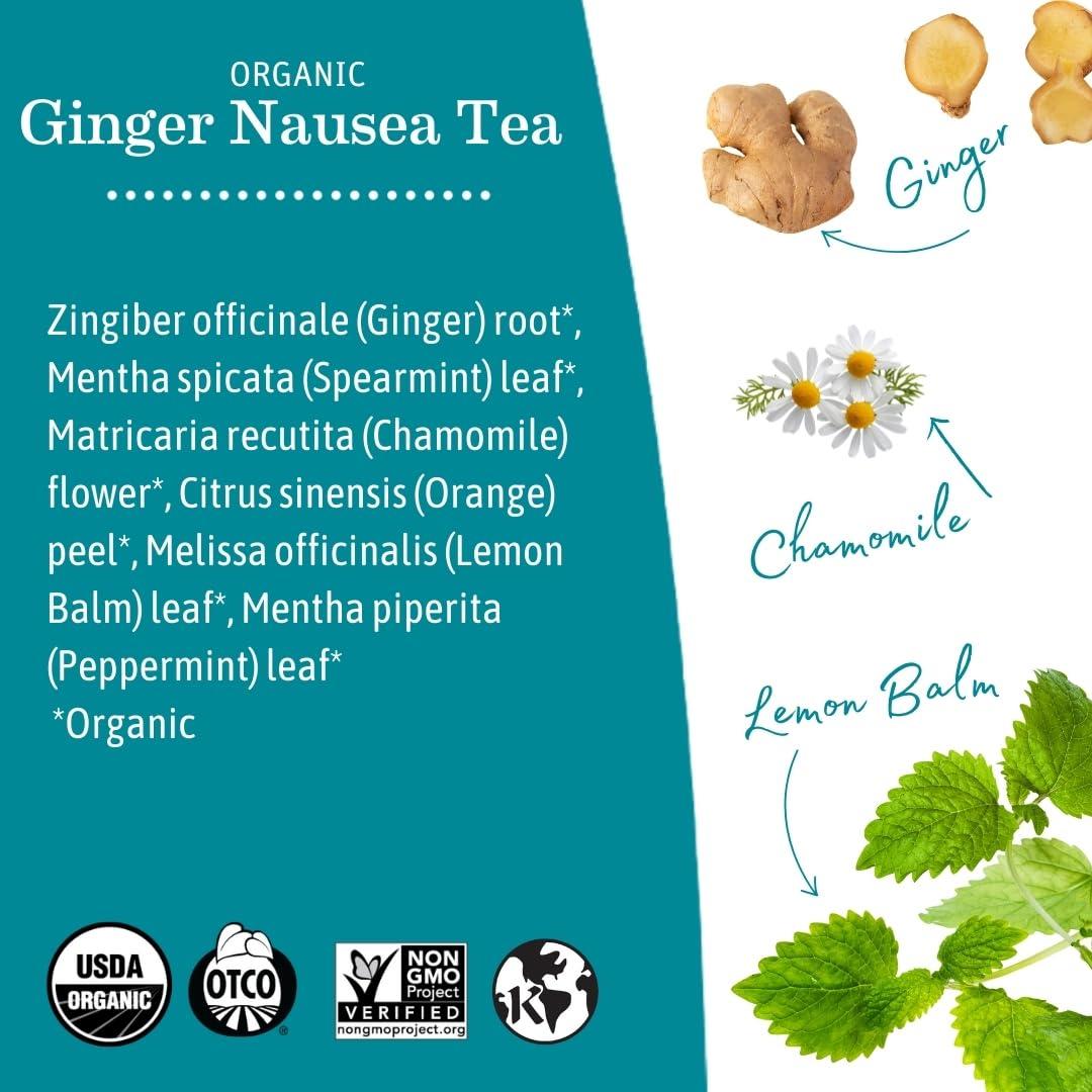 Earth Mama Earth Mama Organic Ginger Nausea Tea | Comforts Occasional Nausea + Morning Sickness, 16 Teabags Per Box (6-Pack)