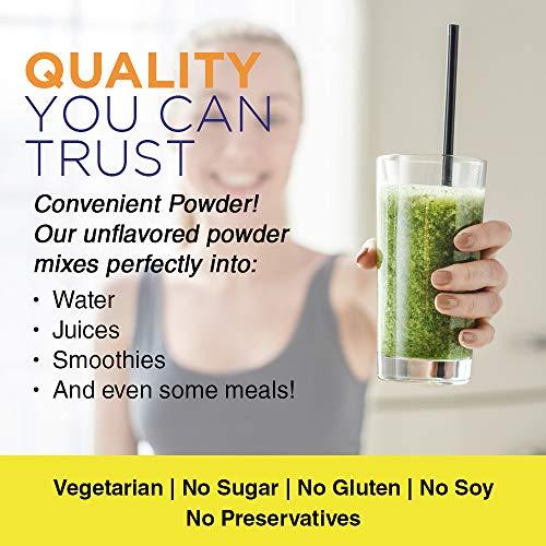 Nature's Life Nature's Life L-Lysine Powder | Helps Support Healthy Immune Function | 100% Pure Natural L-Lysine | Vegetarian, Unflavored, No Sugar | 460 Servings