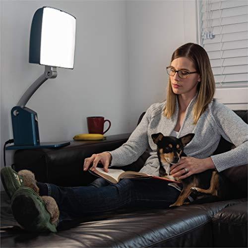 Daylight light deals therapy lamp