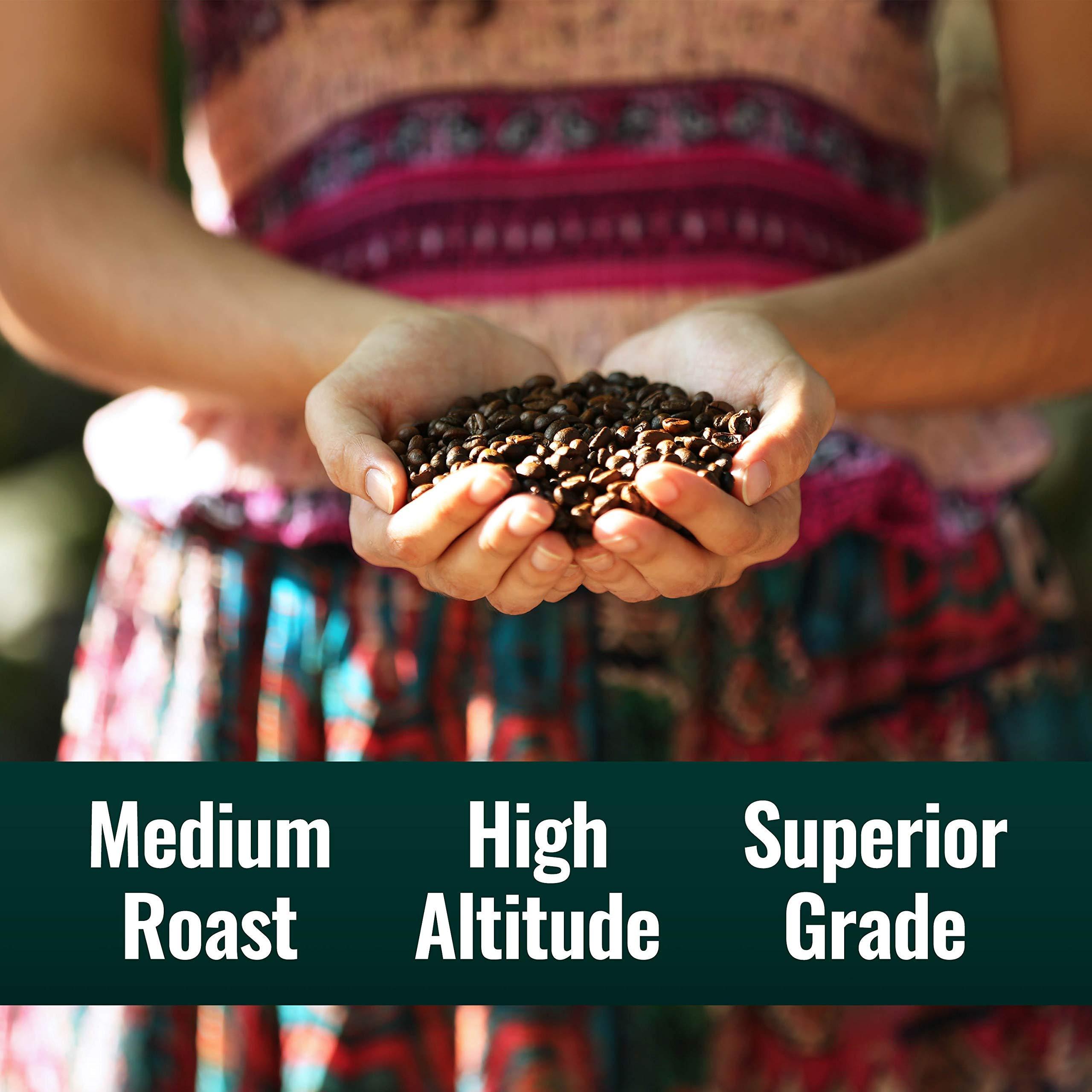 Natural Force Natural Force Clean Decaf Coffee + Organic Pure C8 MCT Oil Bundle 100% C8 MCTs & Mold & Mycotoxin Free Coffee Non-GMO, Keto, Paleo, and Vegan - 12 Oz and 32 Oz