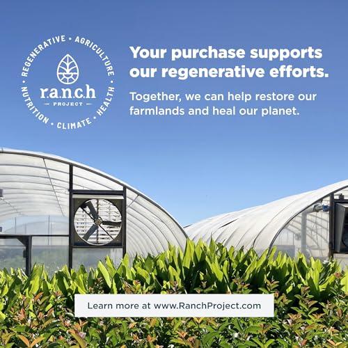 Ancient Nutrition Super Greens Powder by Ancient Nutrition, Organic Superfood Powder with Probiotics Made with Spirulina, Chlorella, Matcha, and Digestive Enzymes, 25 Servings, 7.5oz