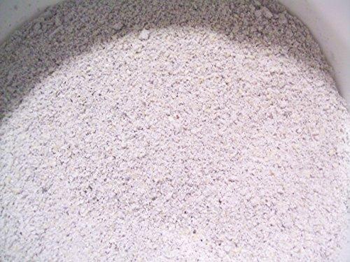 Quality Organic Organic Blue Hopi Cornmeal, 5 lbs., Fresh Stone Ground, Farmer Direct, non-GMO (5 lb)
