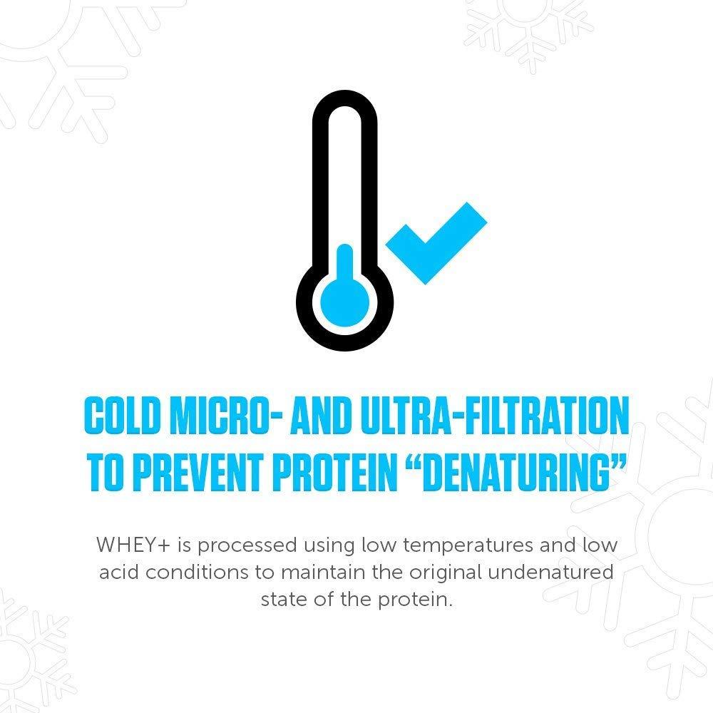 LEGION LEGION Whey+ Whey Protein Powder (French Vanilla) - Low Calorie Whey Isolate Protein Powder - Non-GMO, Lactose-Free, Sugar-Free Whey Protein Isolate Powder - Grass Fed Protein (60 Servings)