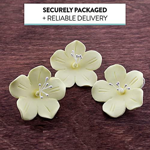 Global Sugar Art Global Sugar Art Fruit Blossom Sugar Cake Flowers, Yellow, Large, 18 Count by Chef Alan Tetreault