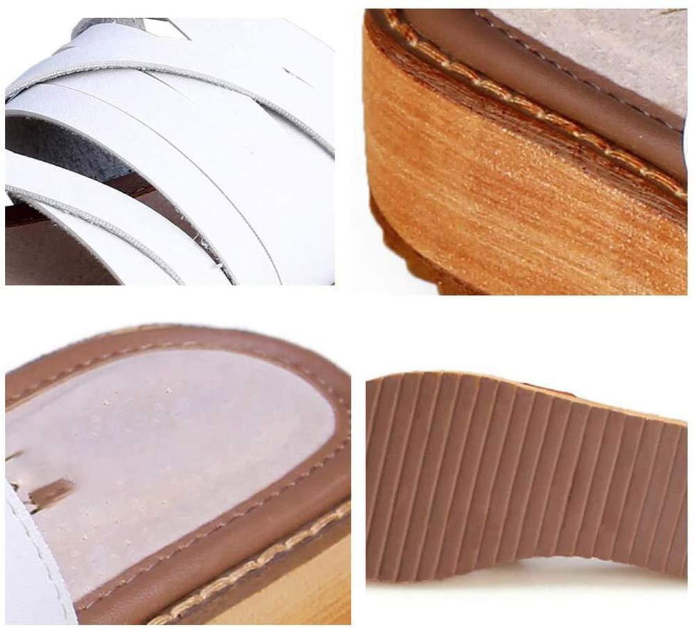 Newbee Fashion Reading Glasses 6 Packs Tube Readers Reading Glasses Portable Reading Glasses in Aluminum Case Teal 2.00