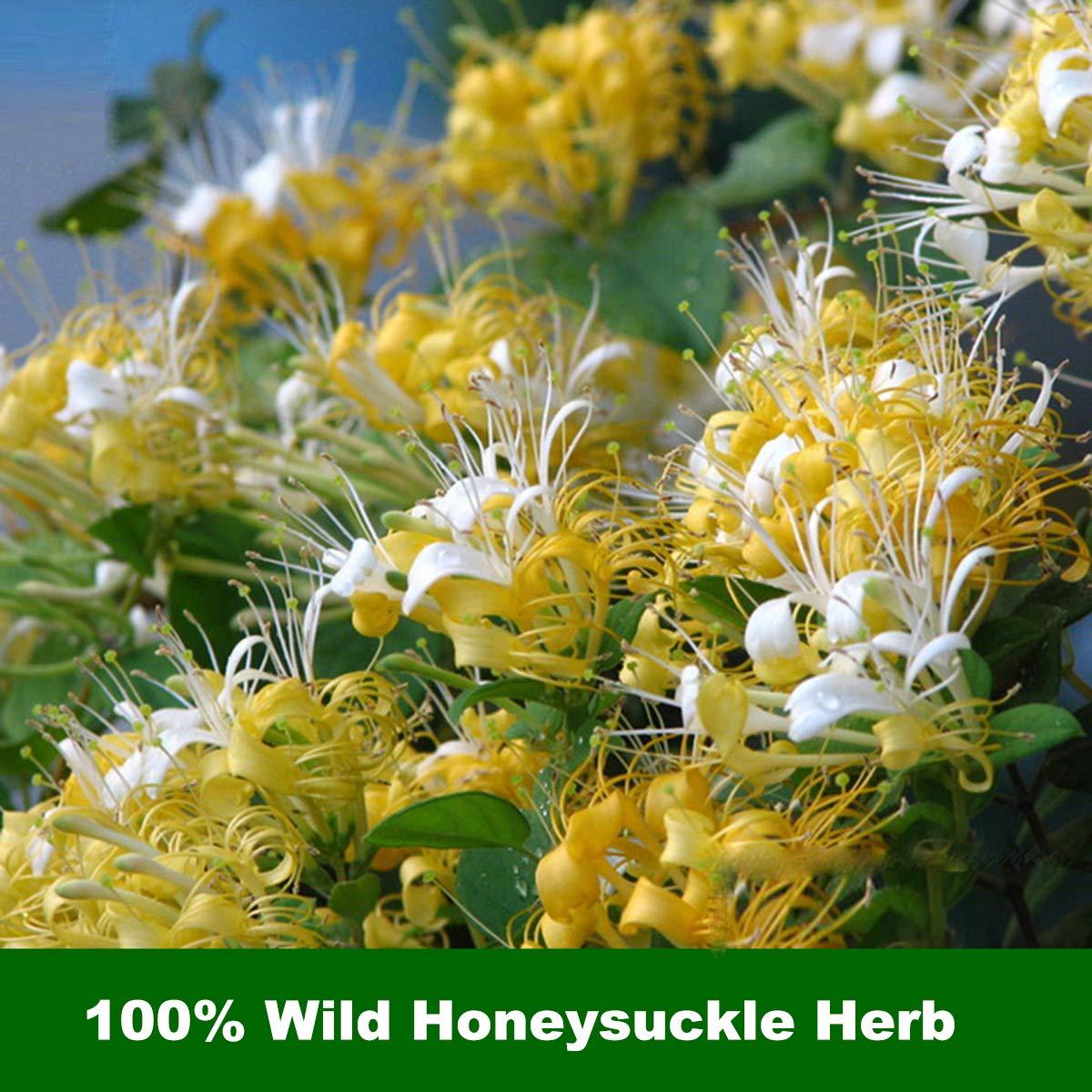 Zunhai Food Premium Honeysuckle Flower Tea, 100% Natural Honeysuckle(Lonicera Japonica) Herbs, 2.0oz