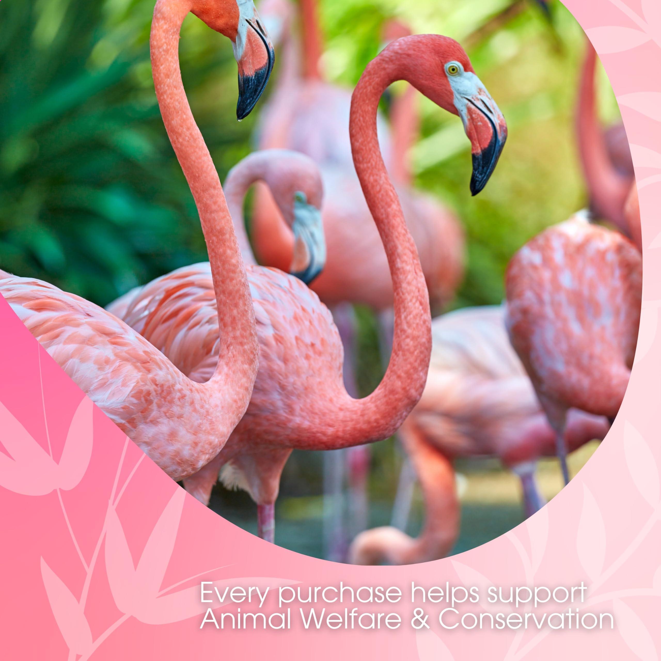 David Rio David Rio Chai Mix, Decaf Sugar Free, Flamingo Vanilla for Tea or Latte, 48 Ounce (Pack of 1)