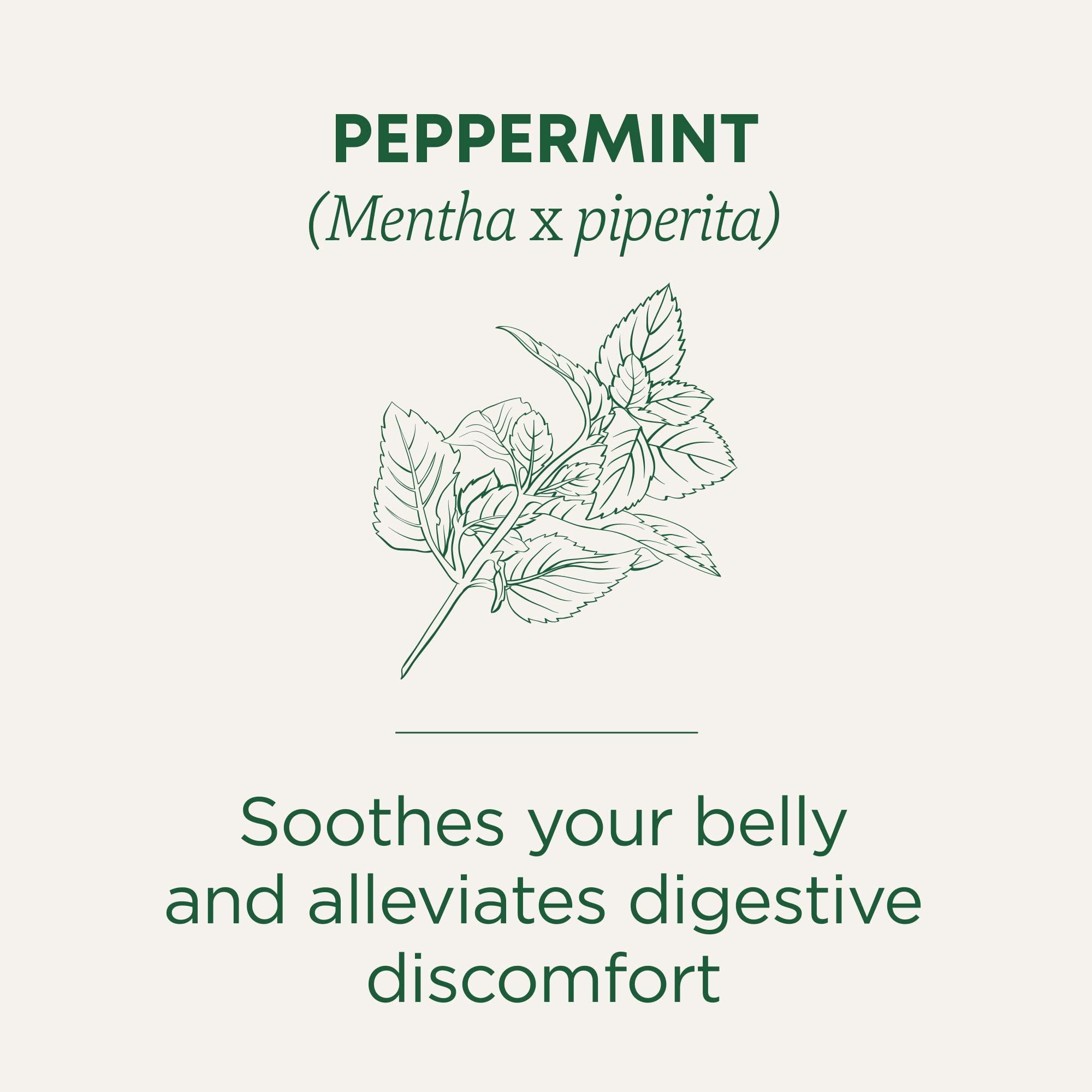 Traditional Medicinals Traditional Medicinals Tea, Organic Peppermint, Soothes Your Belly, Refreshing & Minty, 48 Tea Bags