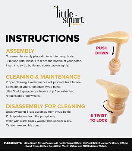 little squirt syrup pump Torani Sugar Free French Vanilla Syrup with Little Squirt Syrup Pump, 750ml 25.4 Ounces