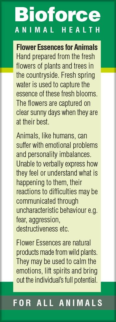 A.Vogel BioForce A.Vogel Highly Strung Essence 30 ml Liquid