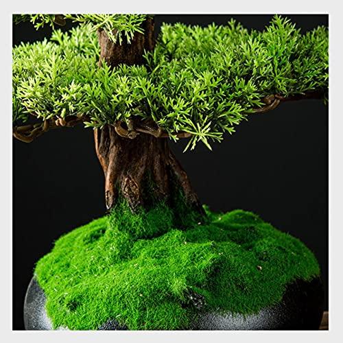 CLoxks Artificial Bonsai Simulation Fake Tree Bonsai Home Living Room Chinese Sand Table Porch Landscaping Decoration Green Plant Ornaments for Home Office (Color : Brass)