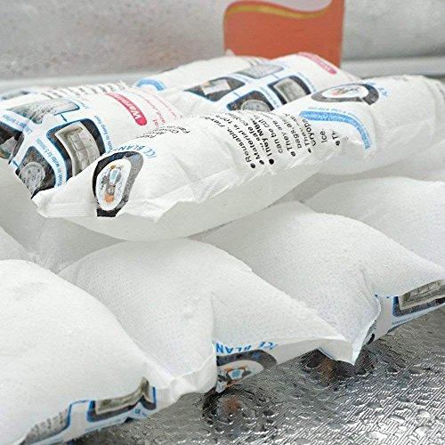 WORLD-BIO Shipping Cold Pack Ice Pack Sheets for Coolers Reusable, Dry Ice Packs Freezer Packs for Shipping Food, Flexible Ice Blankets Frozen Gel Packs Keep Food Fresh Beverage Cold, 13.3"x6.5"/Sheet 50 Sheets