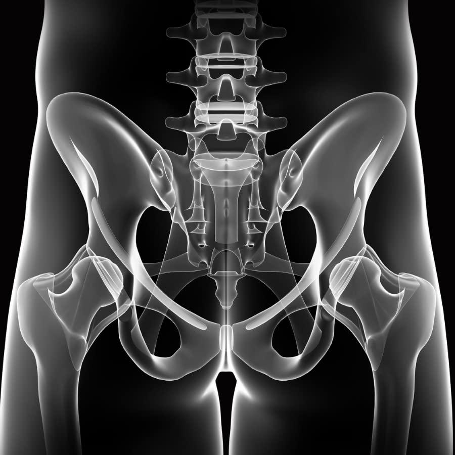 Desert Harvest EZMagic Pelvic Therapy Wand (EZMagic 9 inch Length)