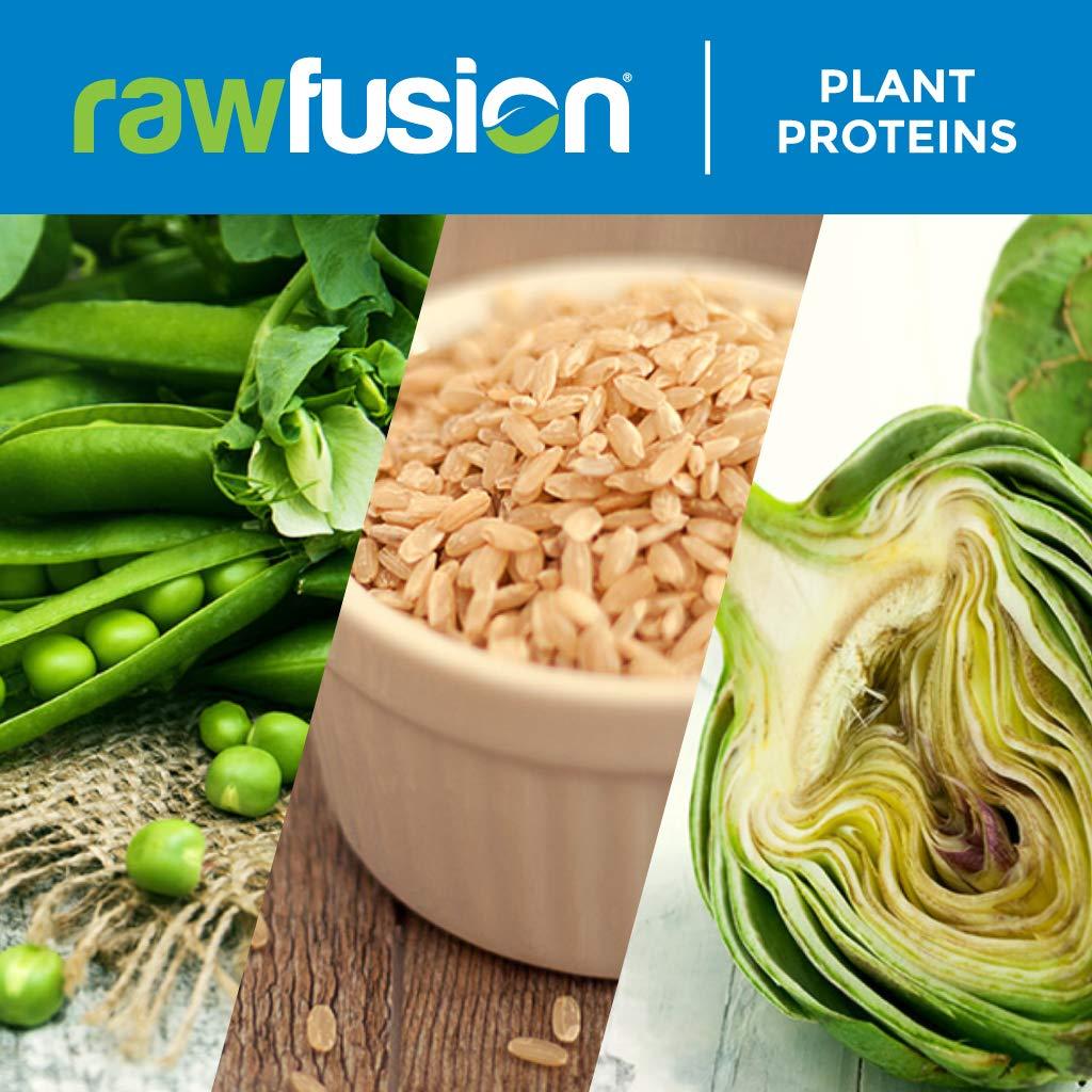 SAN Rawfusion- Vegan Protein Powder, Vanilla Bean - 60 Servings 21g of Plant Based Protein, Low Net Carbs, Non-Dairy, Gluten/ Lactose Free, Soy Free, Kosher, Non-GMO, 4lbs Pound