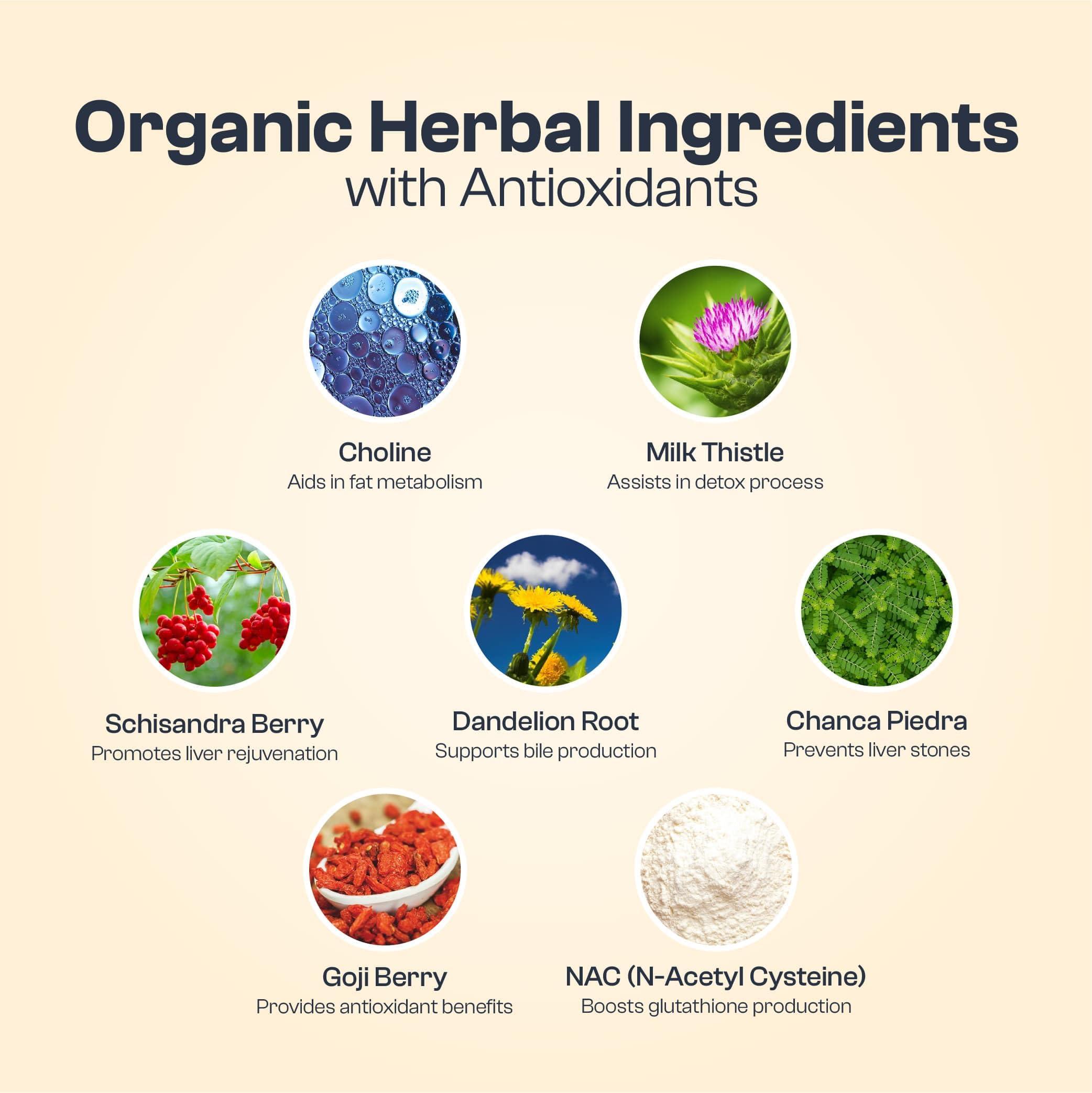 My Vida Origins My Vida Origins Liver Detox with Organic Milk Thistle Organic Dandelion Extract and Choline with NAC Liver Detox 120 Capsules